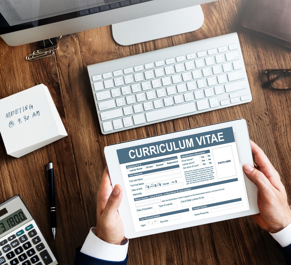 Professional CV Ireland