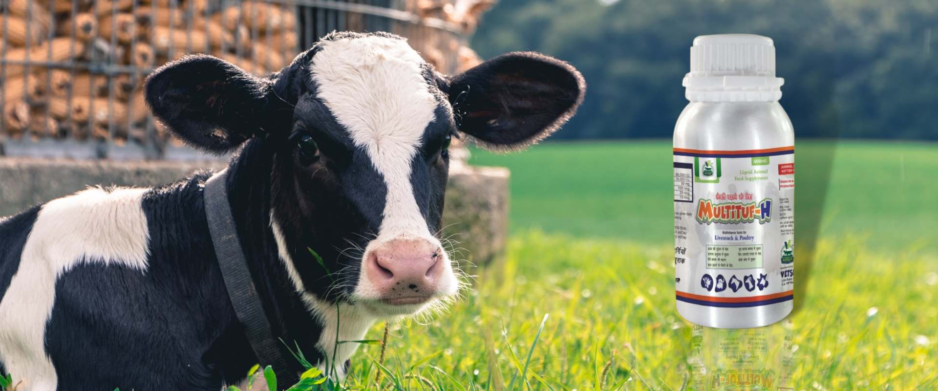 Vetsetlifecare