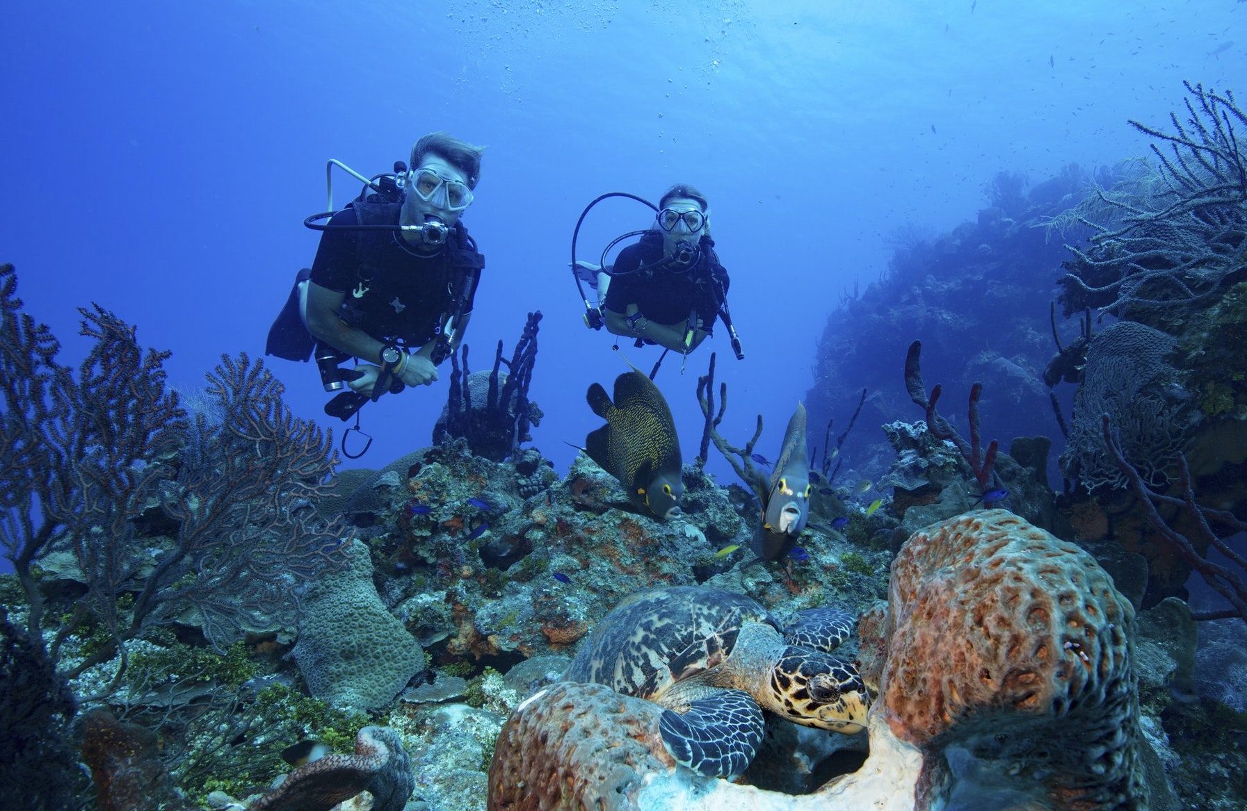 American Divers Phuket