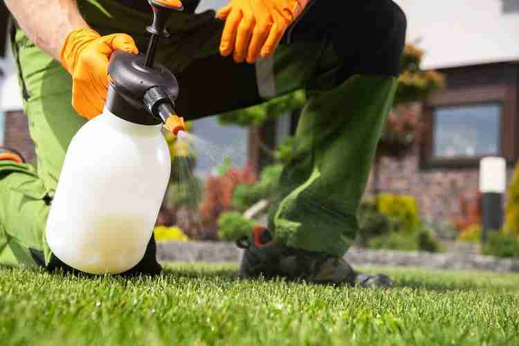 RDS Lawn Care Services