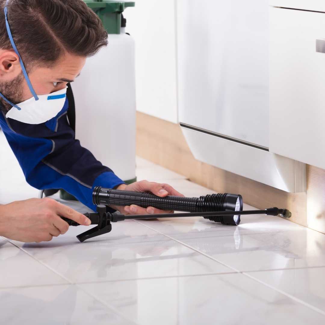 Bugs Or US Pest Control