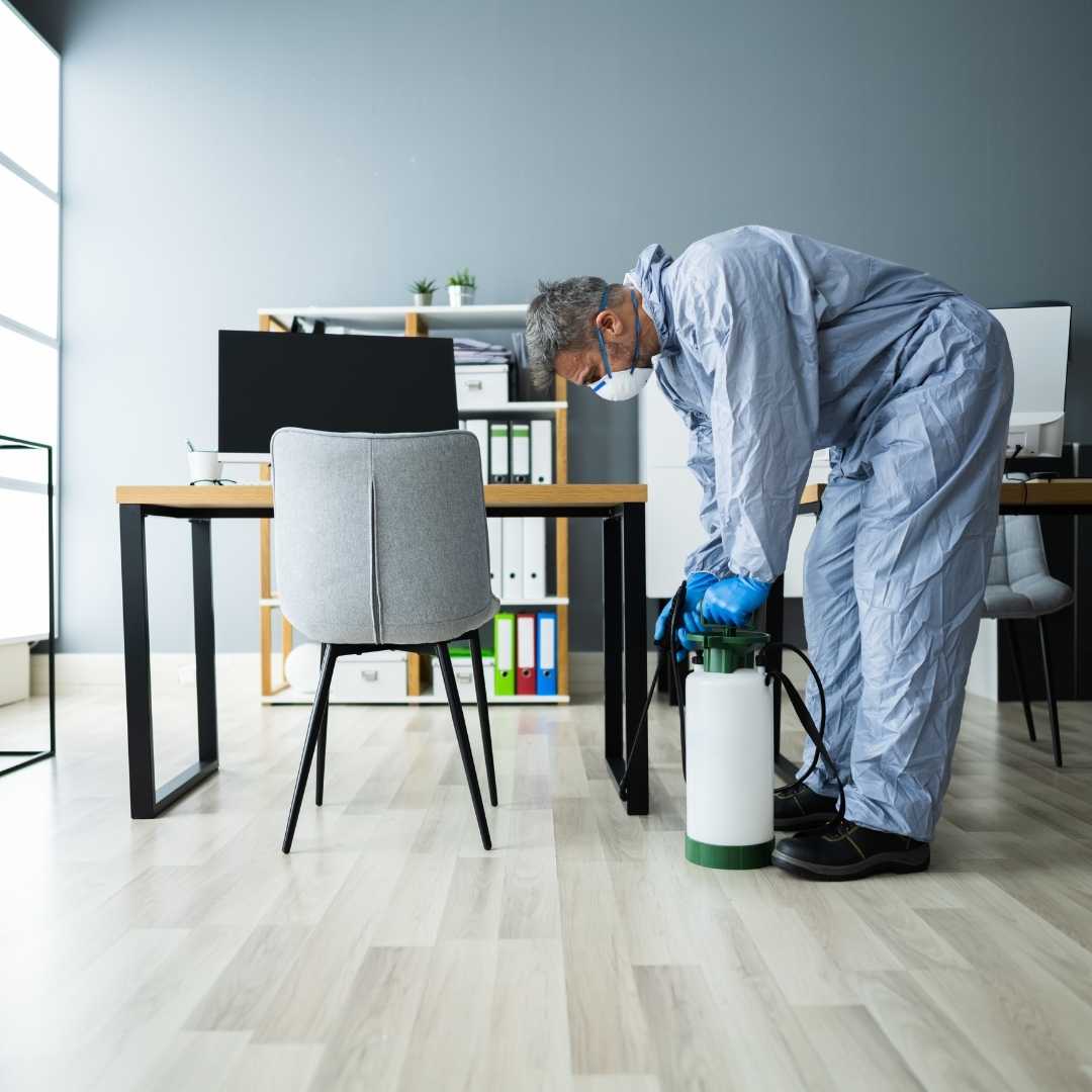 Bugs Or US Pest Control