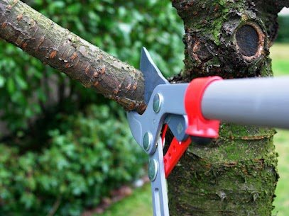 FR Tree Service