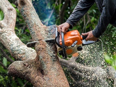 FR Tree Service