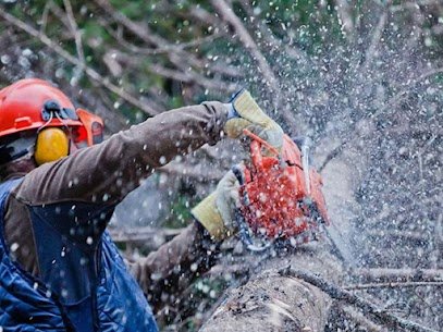 FR Tree Service