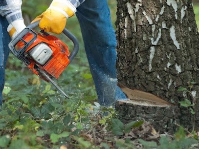 FR Tree Service