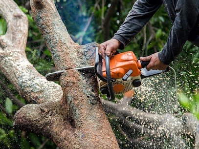 FR Tree Service