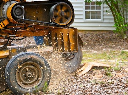 FR Tree Service