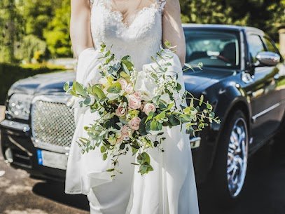 Detroit Limo Service LLC