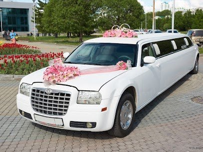 Detroit Limo Service LLC
