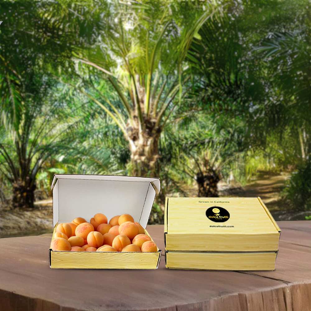 dolce frutti