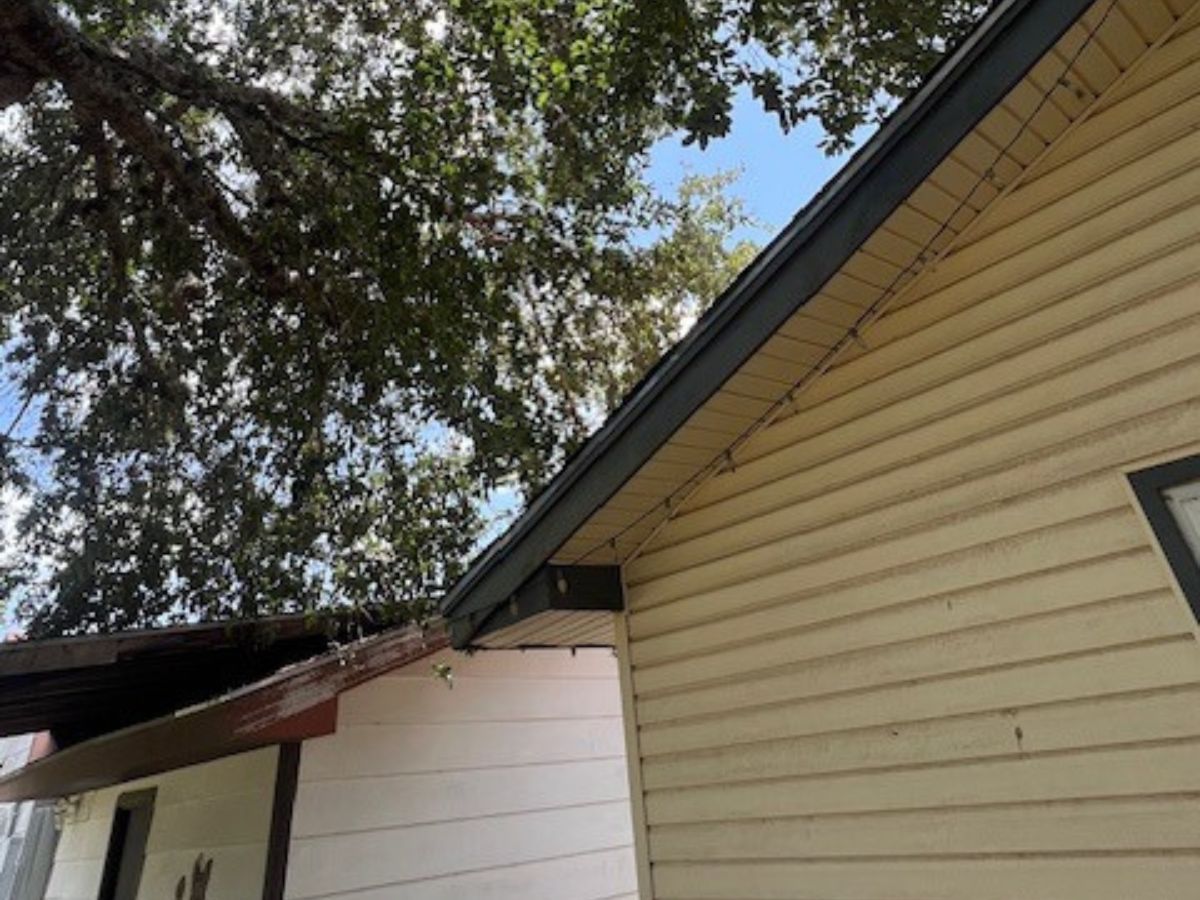 Beeville Tree Service LLC