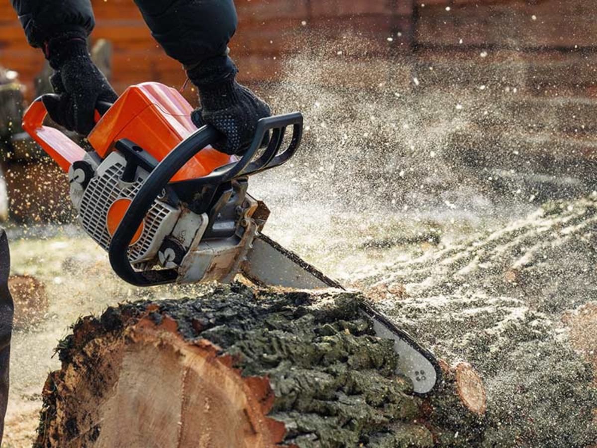 True Gen Tree Service LLC