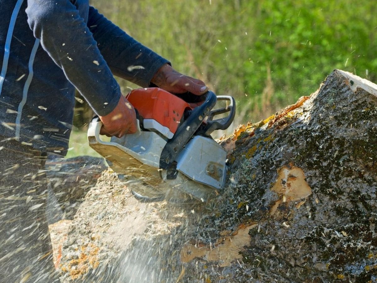 True Gen Tree Service LLC