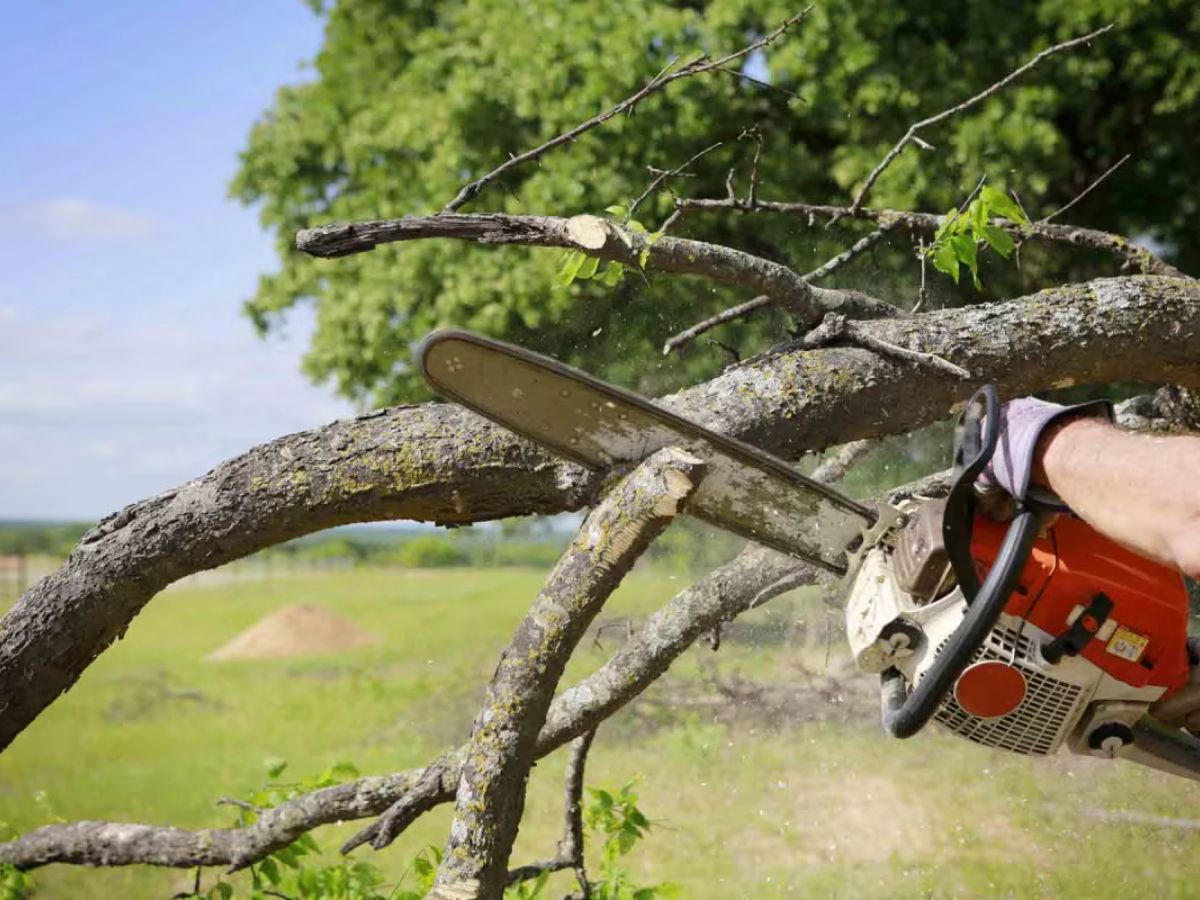 True Gen Tree Service LLC