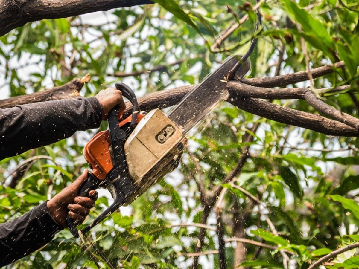 True Gen Tree Service LLC
