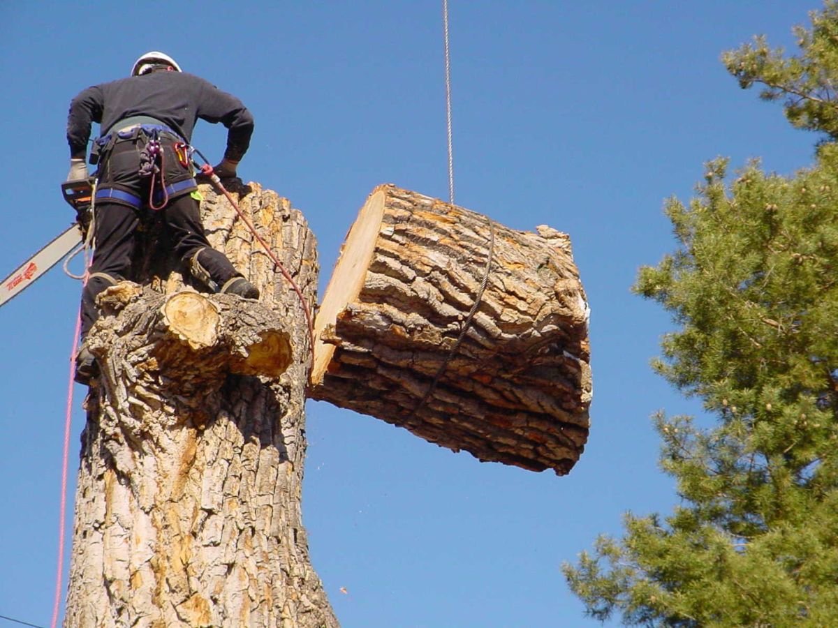 True Gen Tree Service LLC