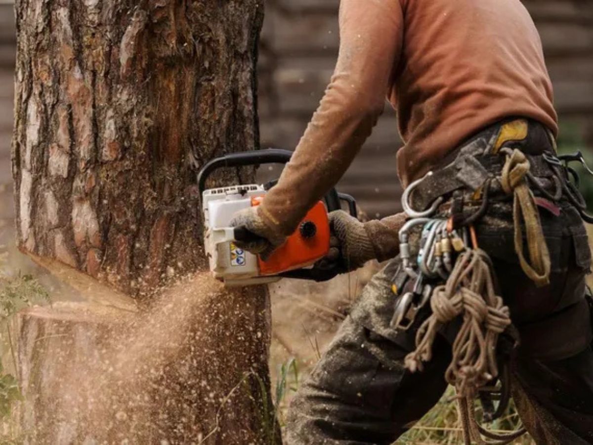 True Gen Tree Service LLC