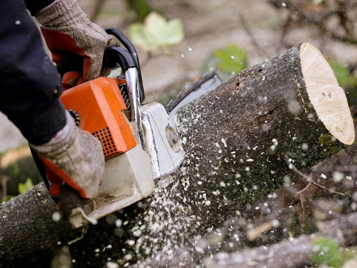 True Gen Tree Service LLC