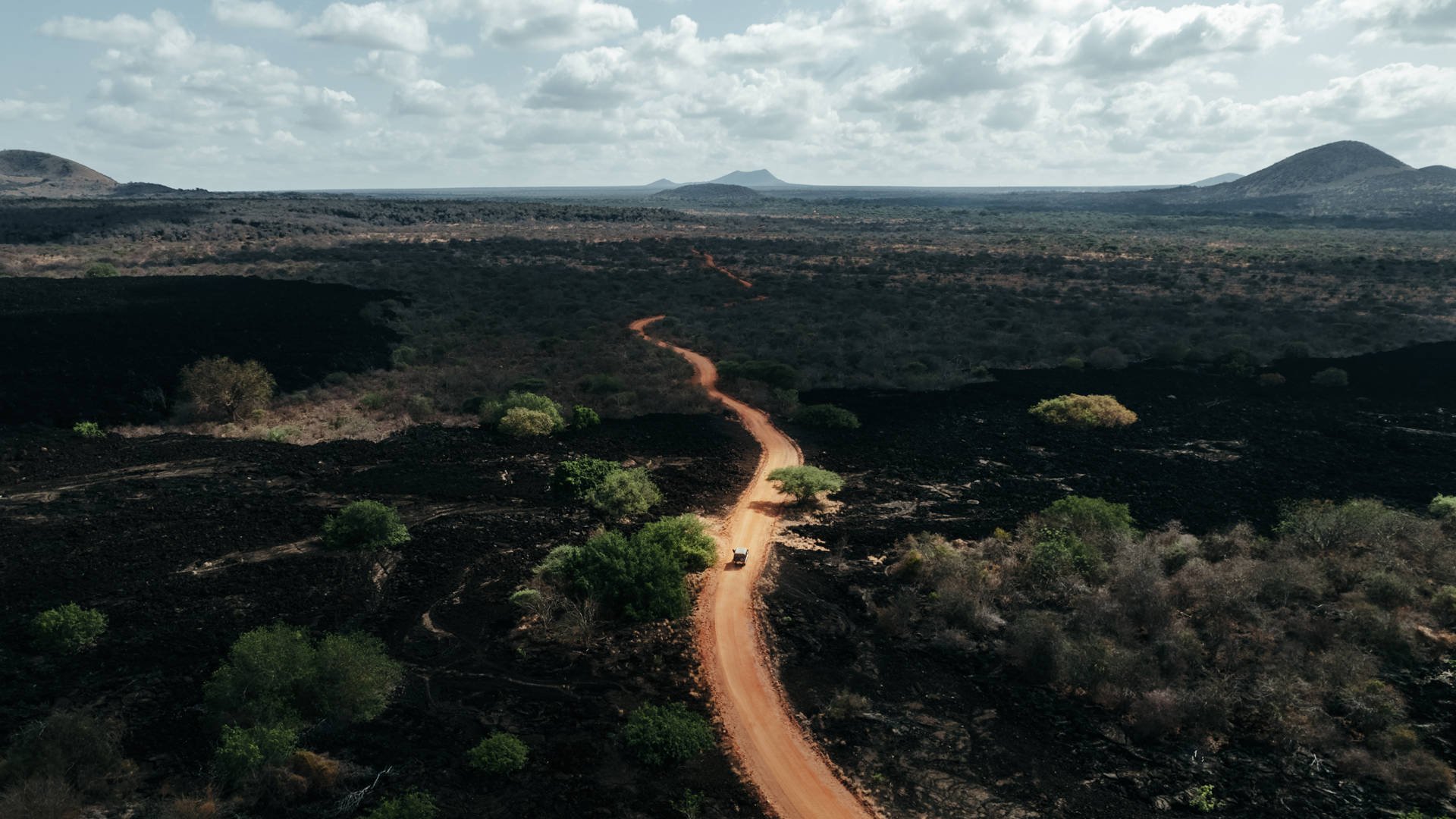 KIWOITO AFRICA SAFARIS