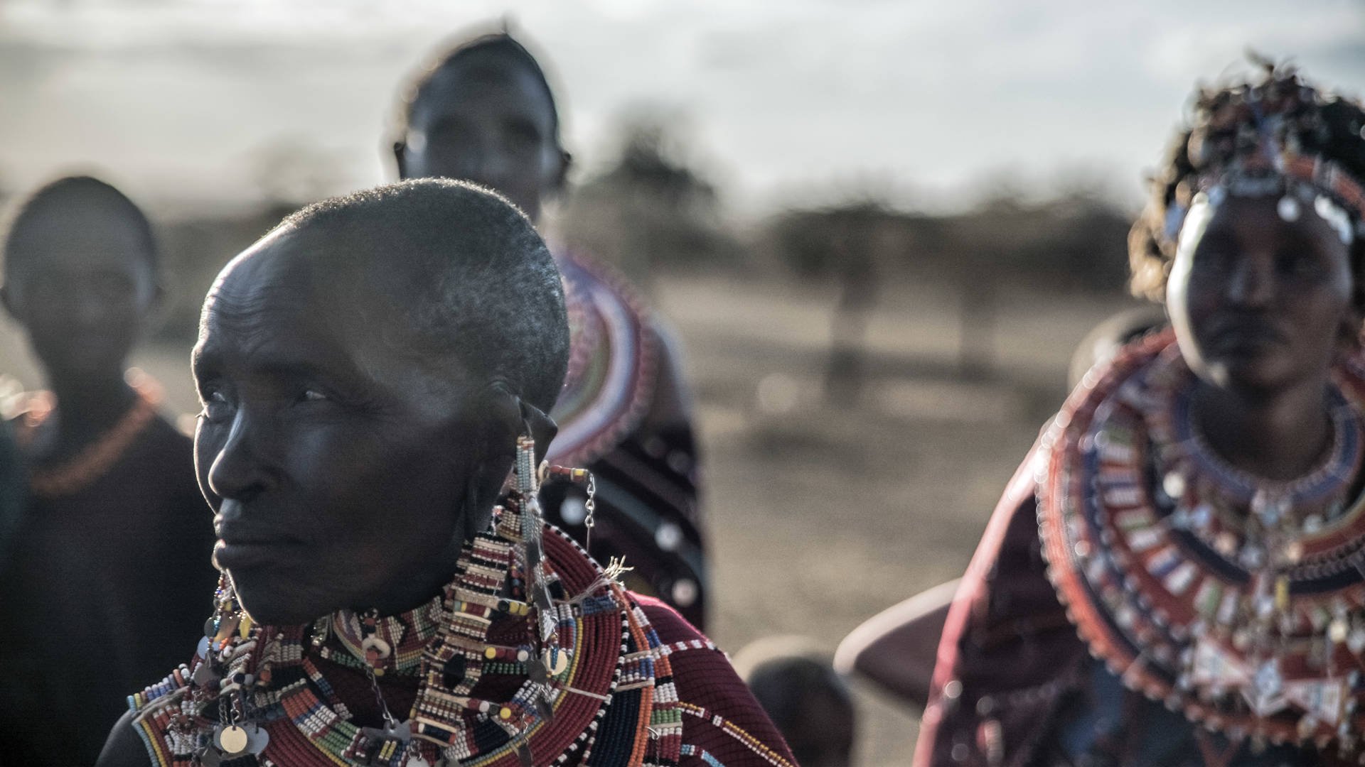 KIWOITO AFRICA SAFARIS