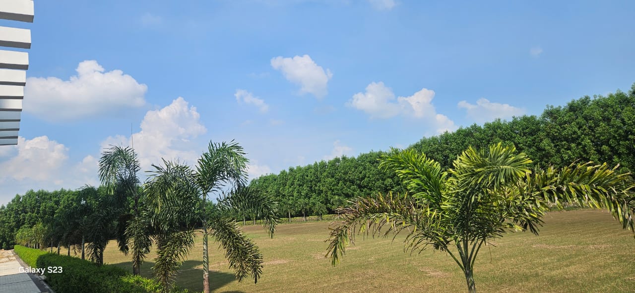 The Grand Banquet and Lawn – The Best Wedding Venue on Raebareli Road, Lucknow