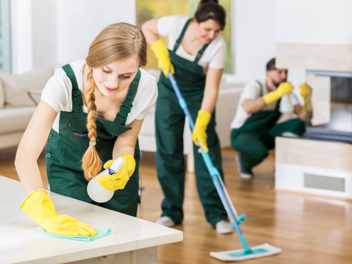Cleveland Steamer Cleaning Services