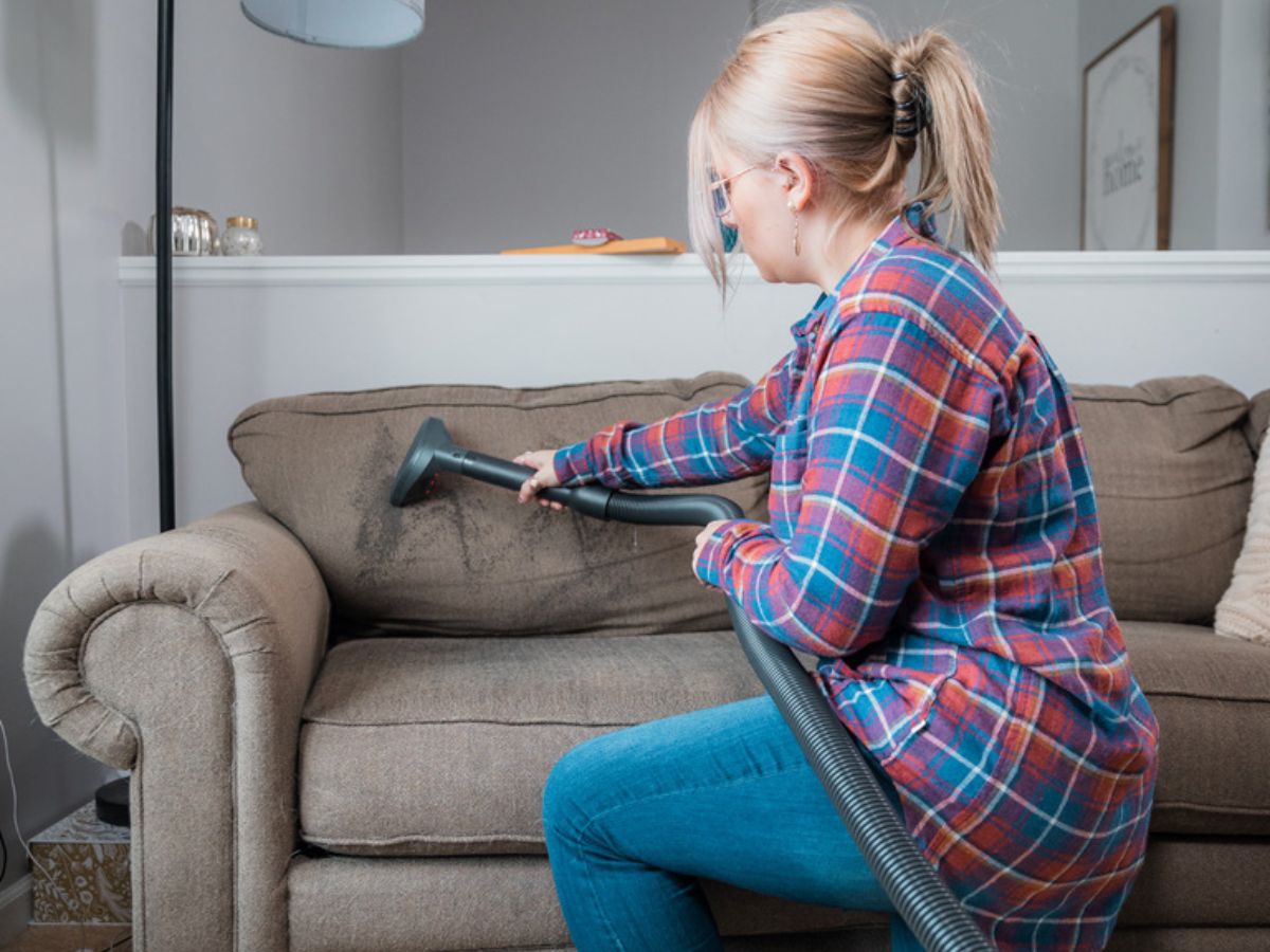 Cleveland Steamer Cleaning Services