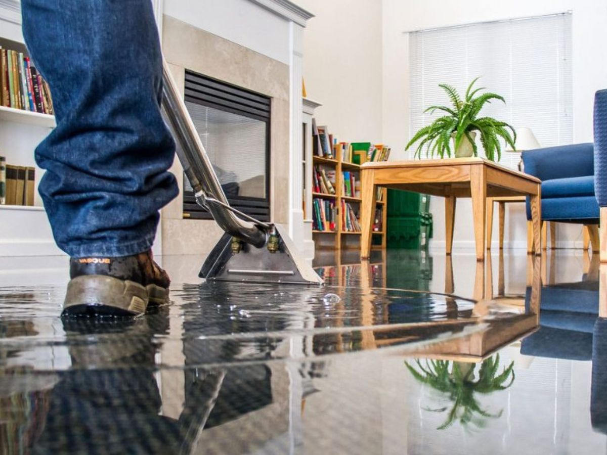 Cleveland Steamer Cleaning Services