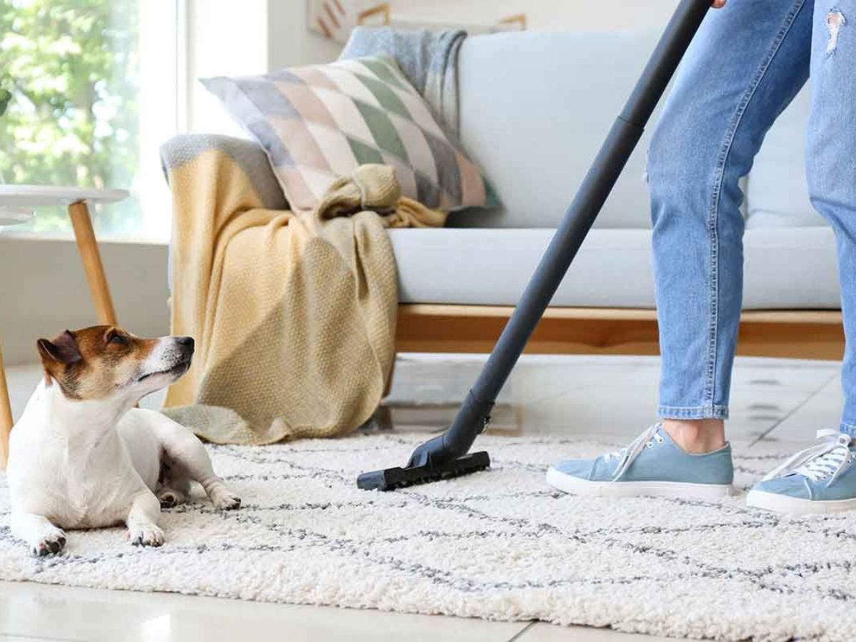 Cleveland Steamer Cleaning Services