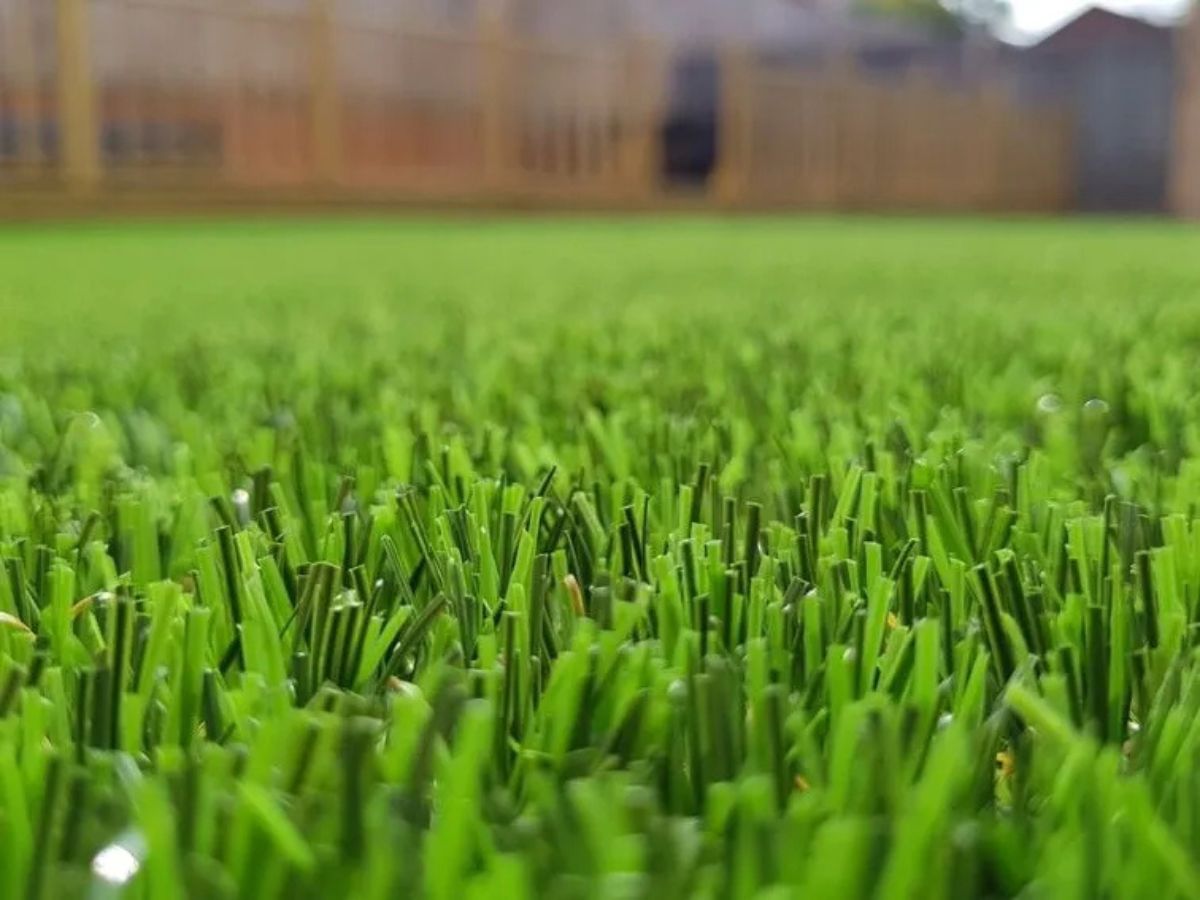 P.O.P.S. Landscaping Services Greenacres