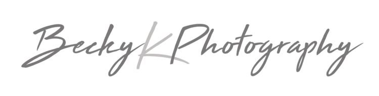 Heirloom Portraits / Houston Heirloom Photos logo