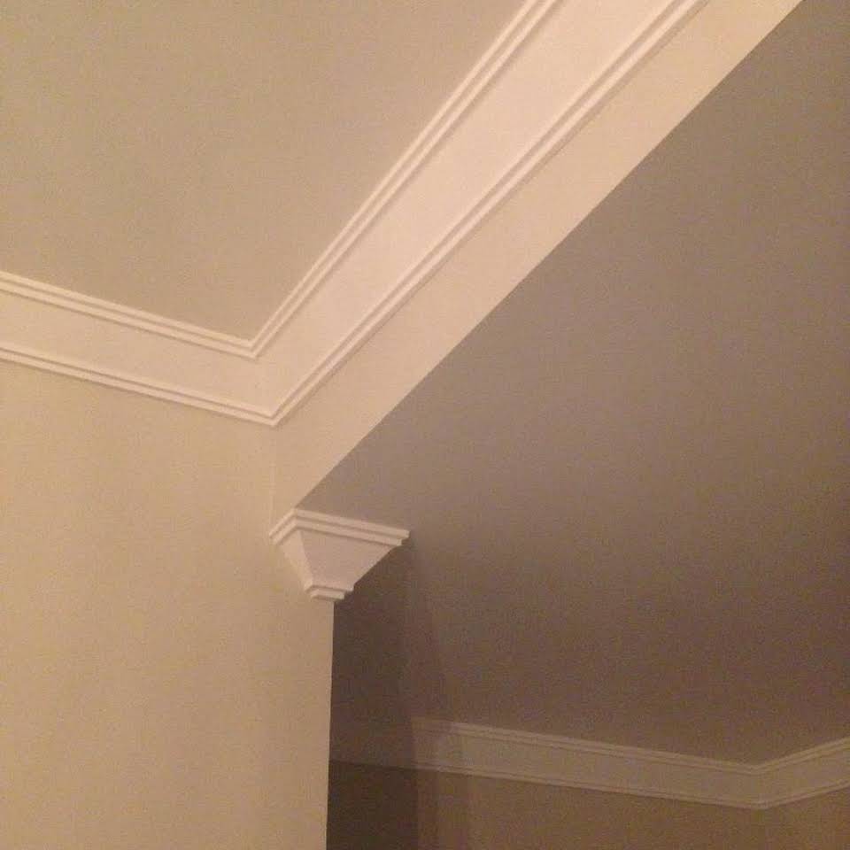 Steven Trevisan Plastering