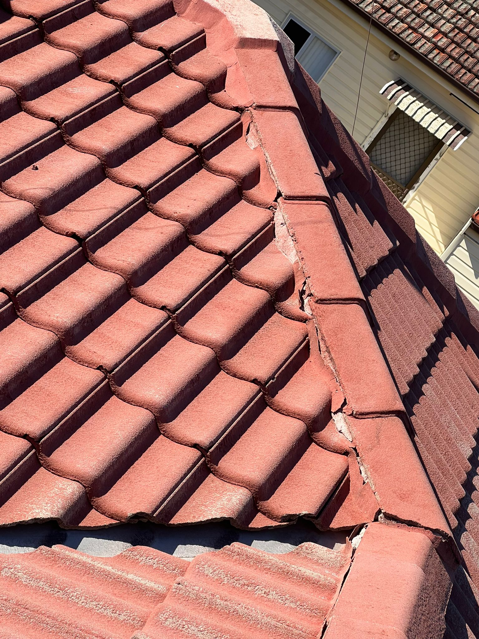 MJ Roof Painting