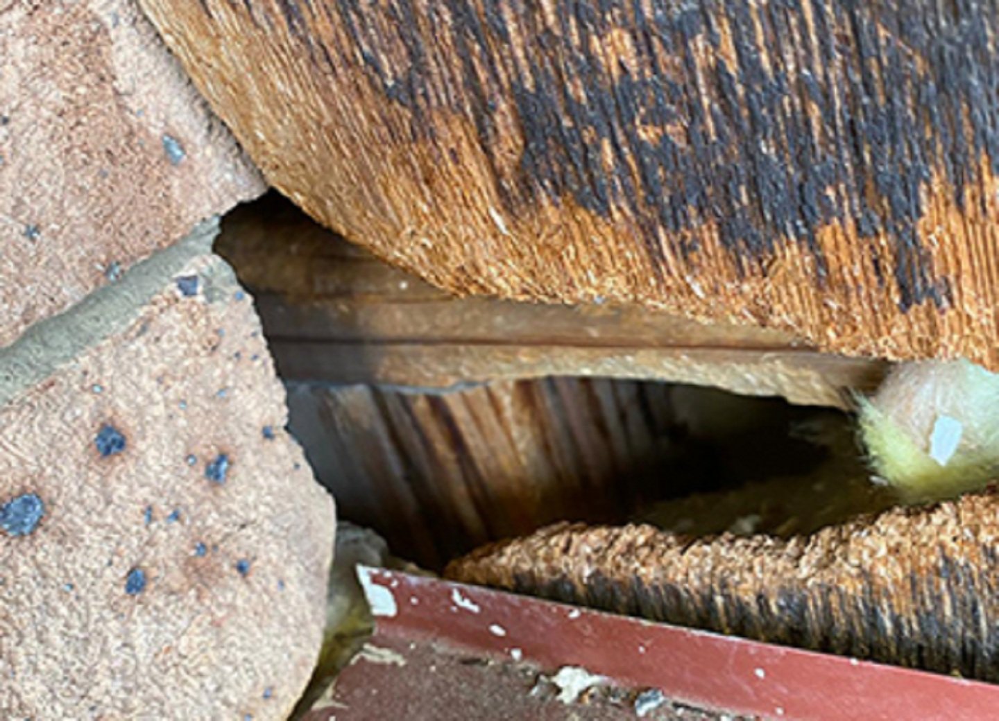 OZ PEST CONTROL CANBERRA