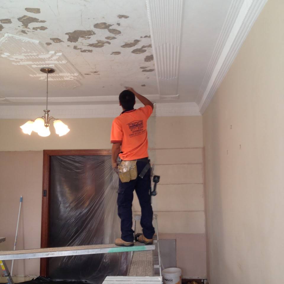 Steven Trevisan Plastering