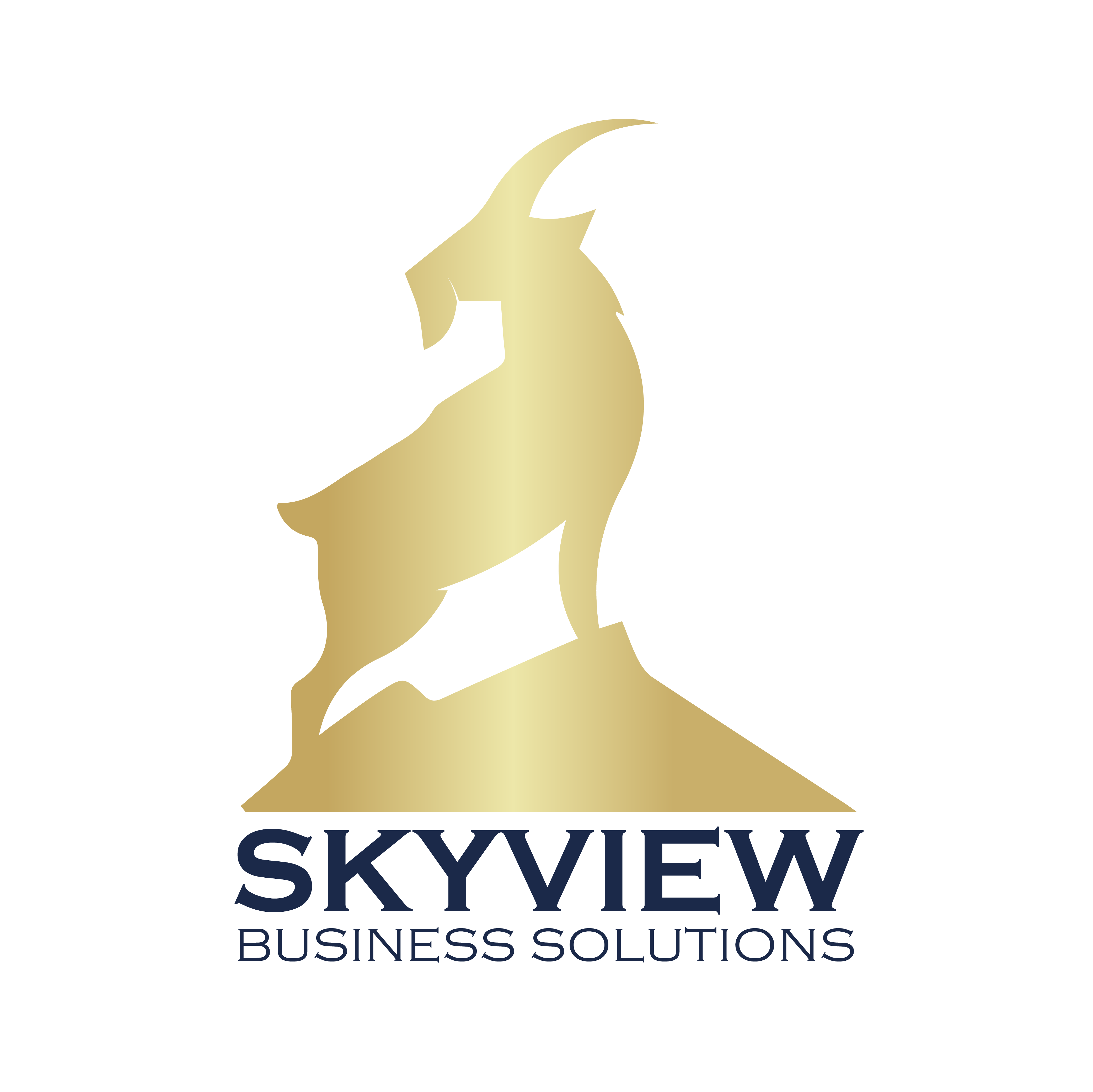 Skyview Advertising