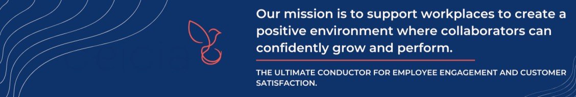 Ceicia – Bespoke Team Effectiveness Programs