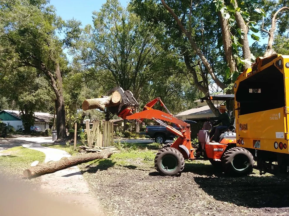 CM Tree Service Inc.