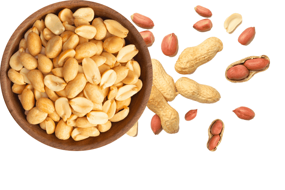 Proeon Foods
