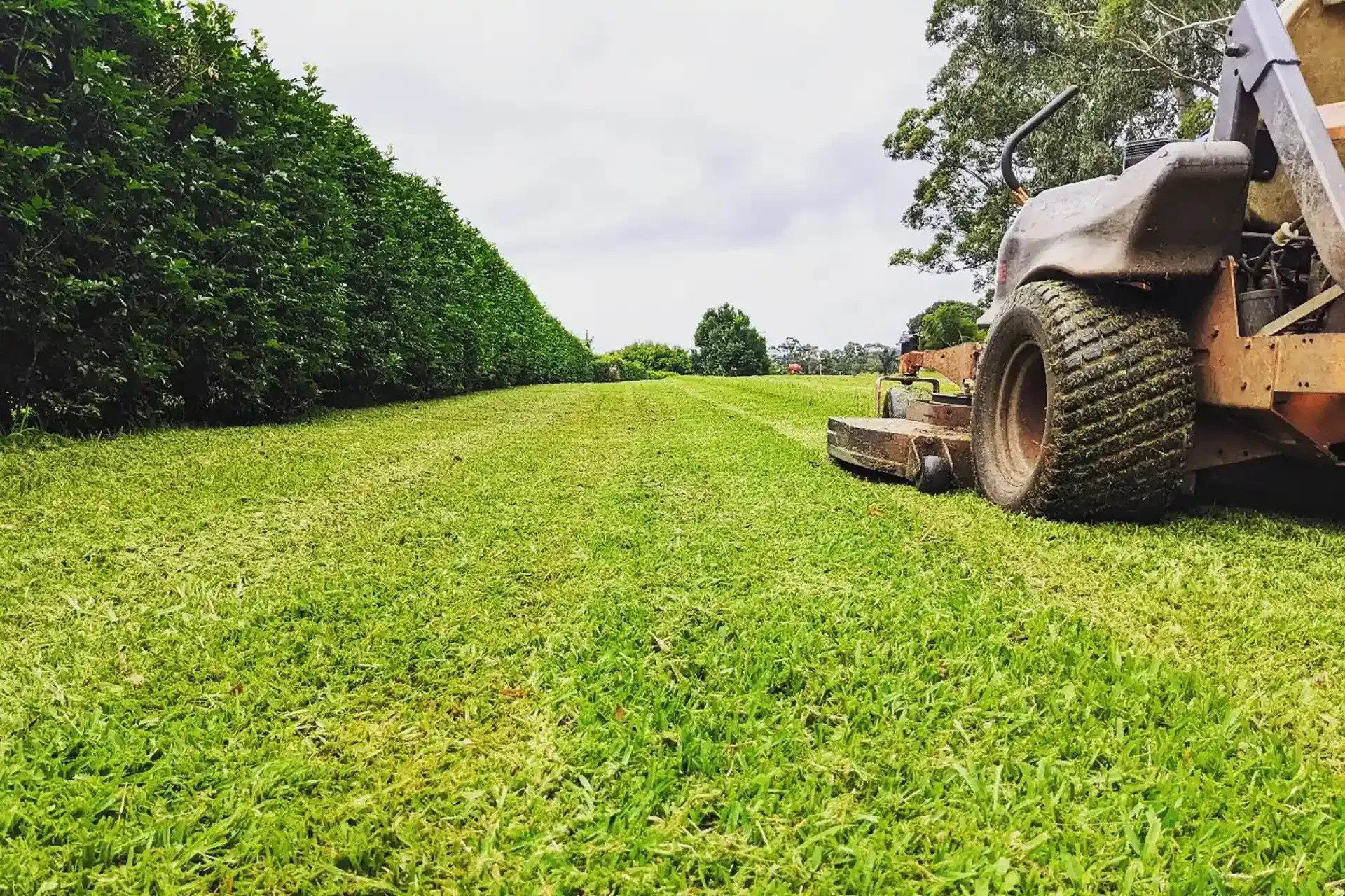 Acreage Mowing in Brisbane