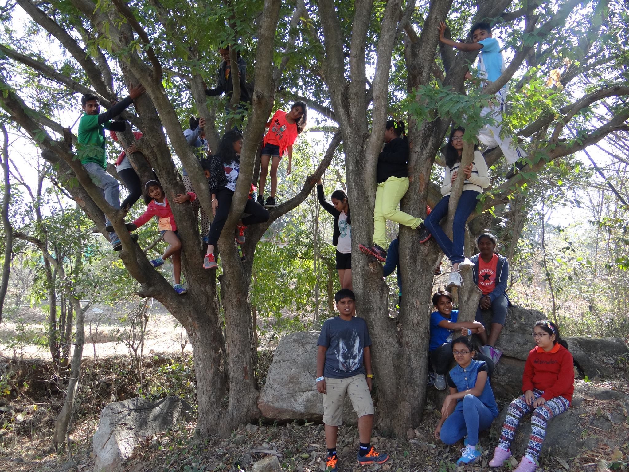 The Big Barn Nature Camp