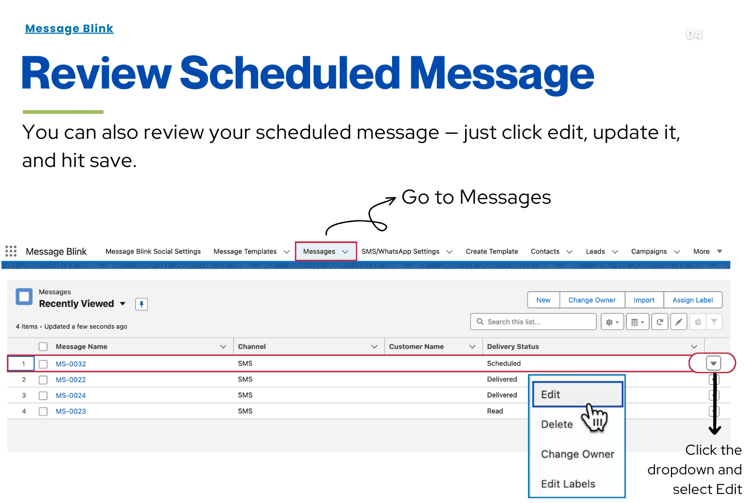 Message Blink- Salesforce SMS Messaging App