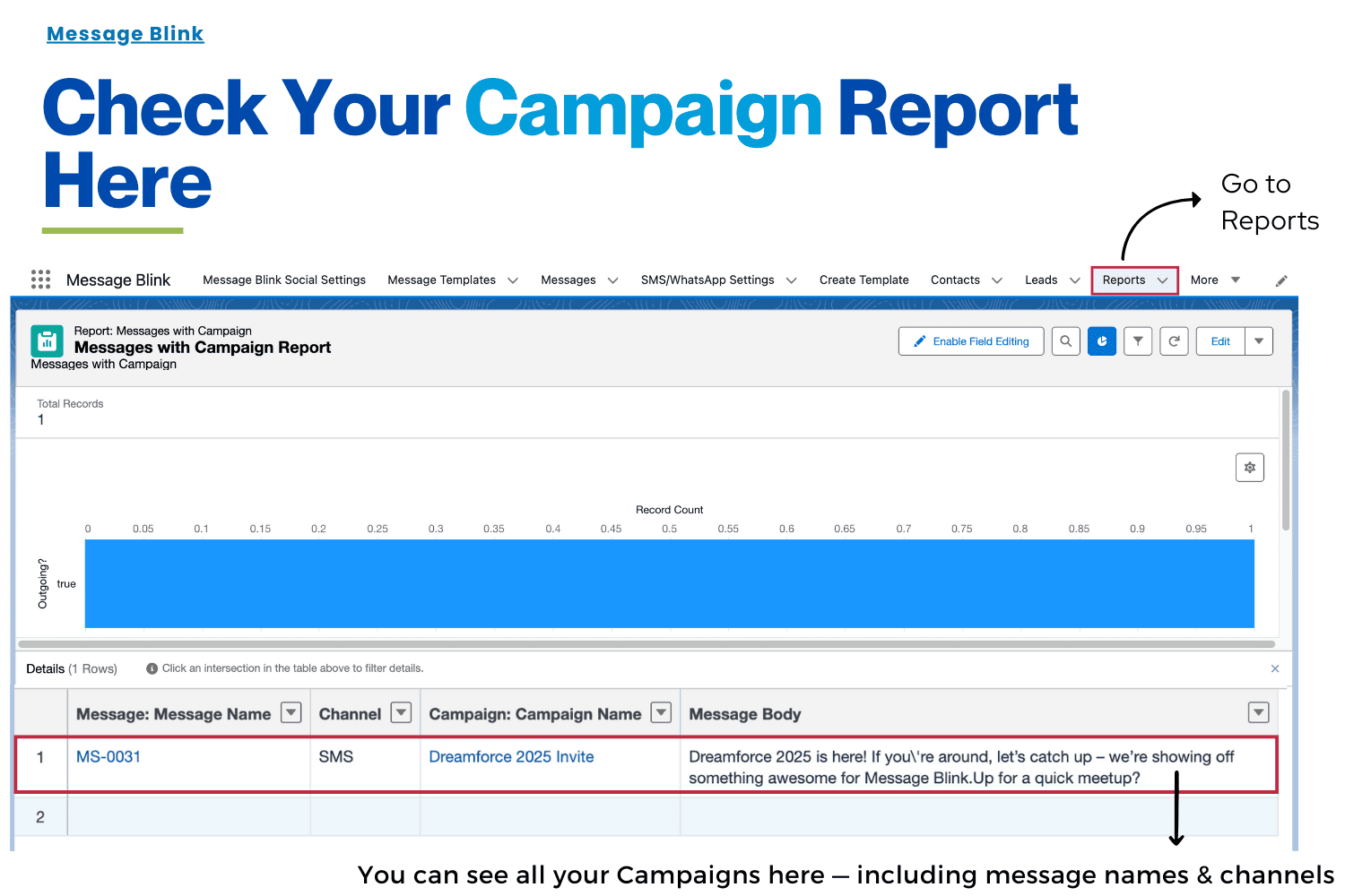 Message Blink- Salesforce SMS Messaging App