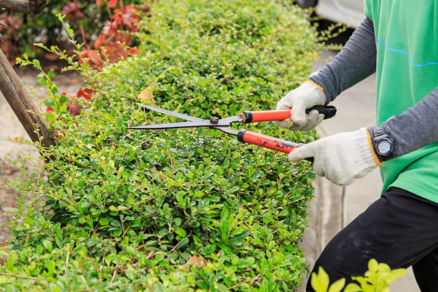 Saunders Gardening Services