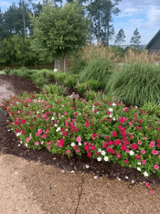 Greenline Landscape and Irrigation