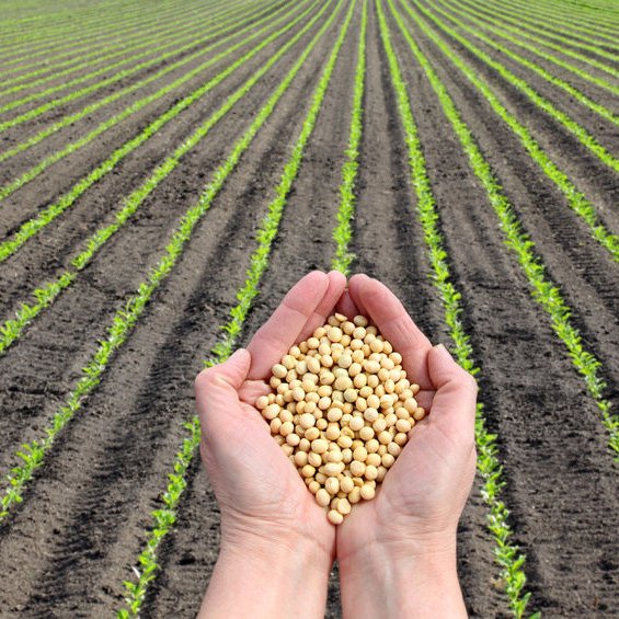 N &amp; R Feed And Supply
