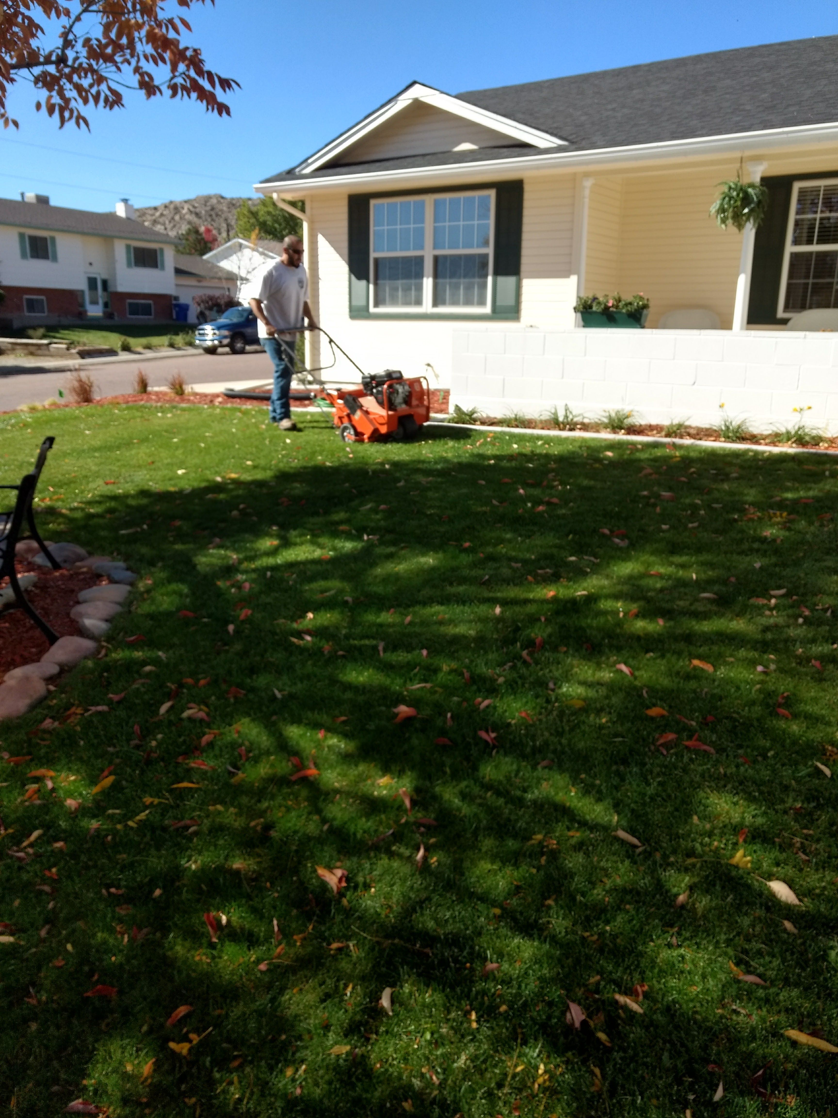 Complete Yard Service