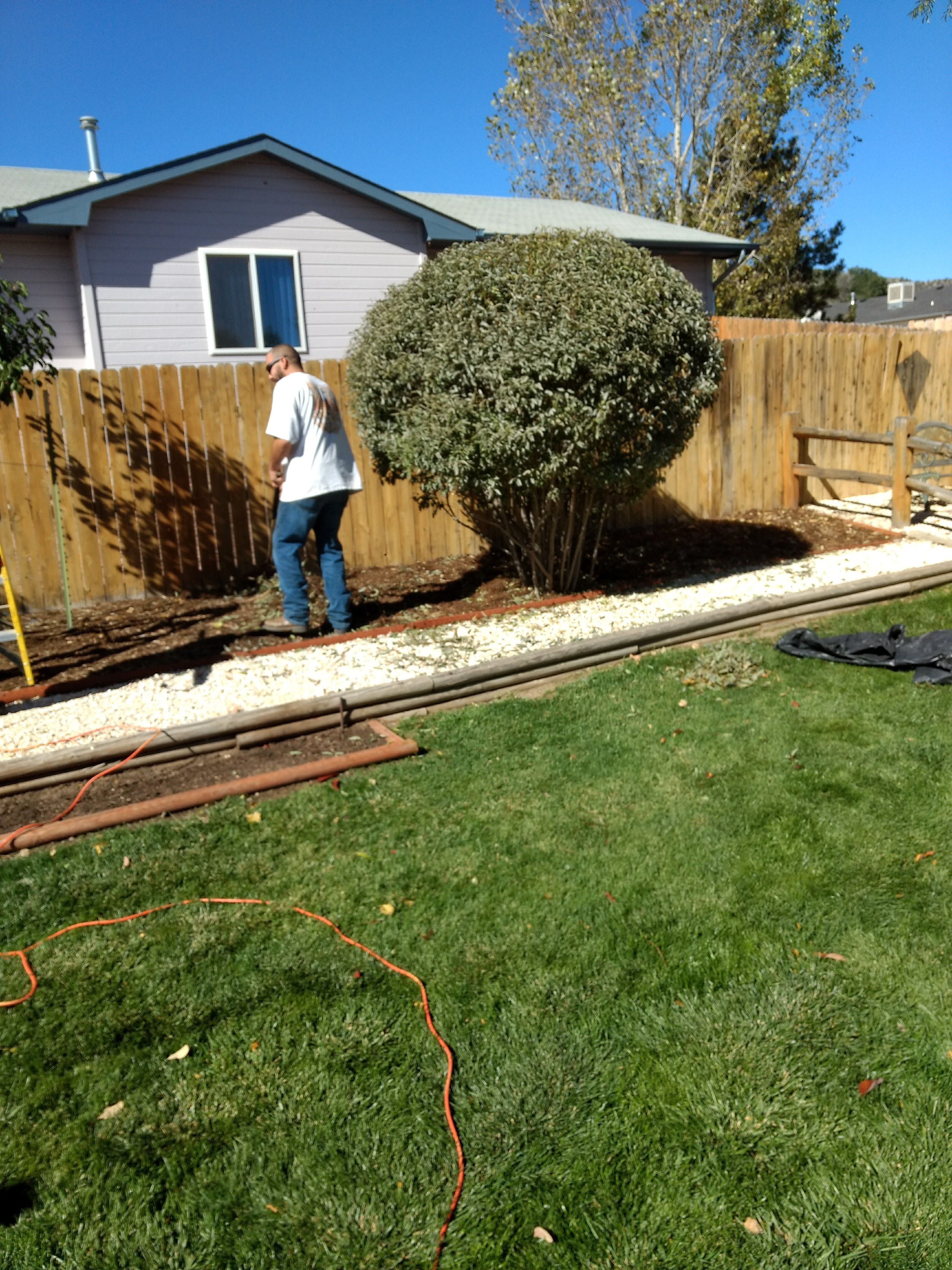 Complete Yard Service