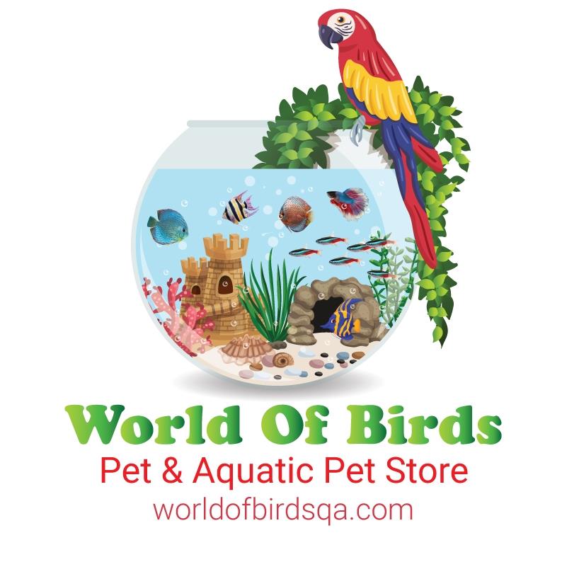 World of Birds